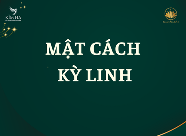 Đào tạo mật cách kỳ linh